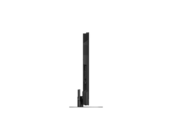 TV-55Z95AEG side